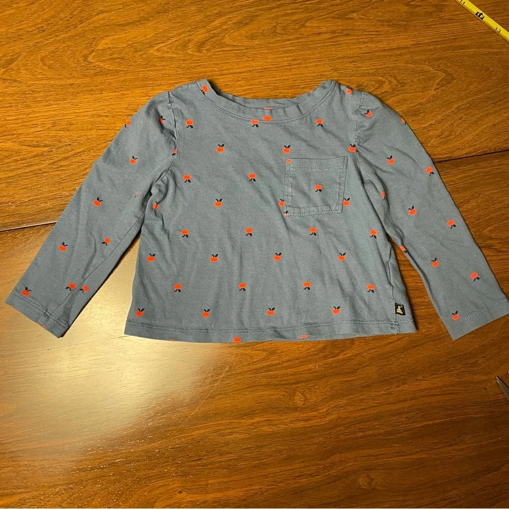 GAP Long Sleeve Blue Tee with Red apples. Size 2 years, 2T.